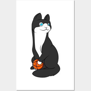 Funny Cat is playing with a ball / gift Posters and Art